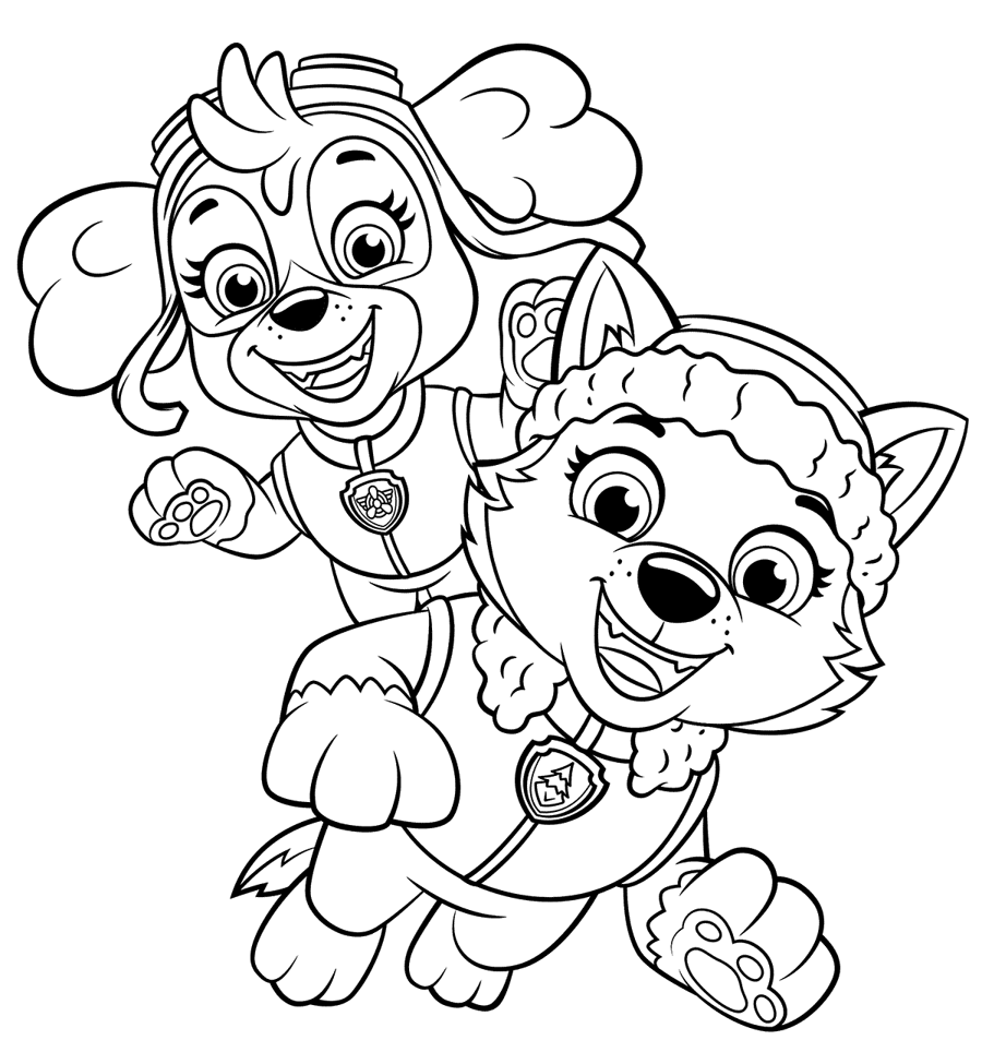 Paw Patrol kleurplaat van Skye en Everest samen in actie met vrolijke lijnen