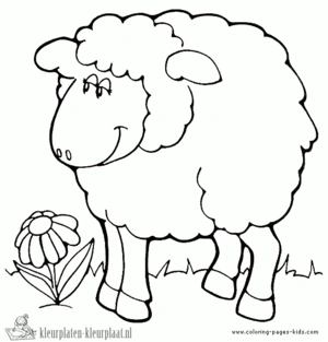 Schaap 16 kleurplaat