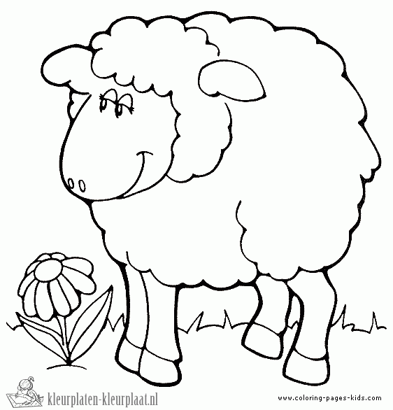 Schaap 16 kleurplaat