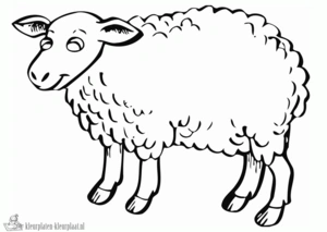 Schaap 17 kleurplaat