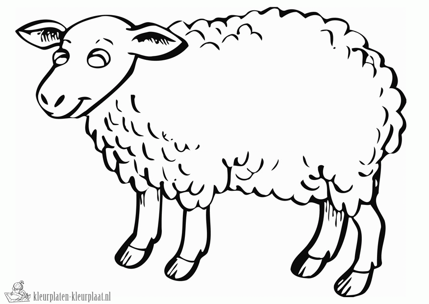 Schaap 17 kleurplaat