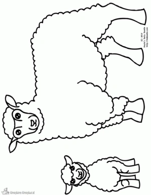 Schaap 20 kleurplaat