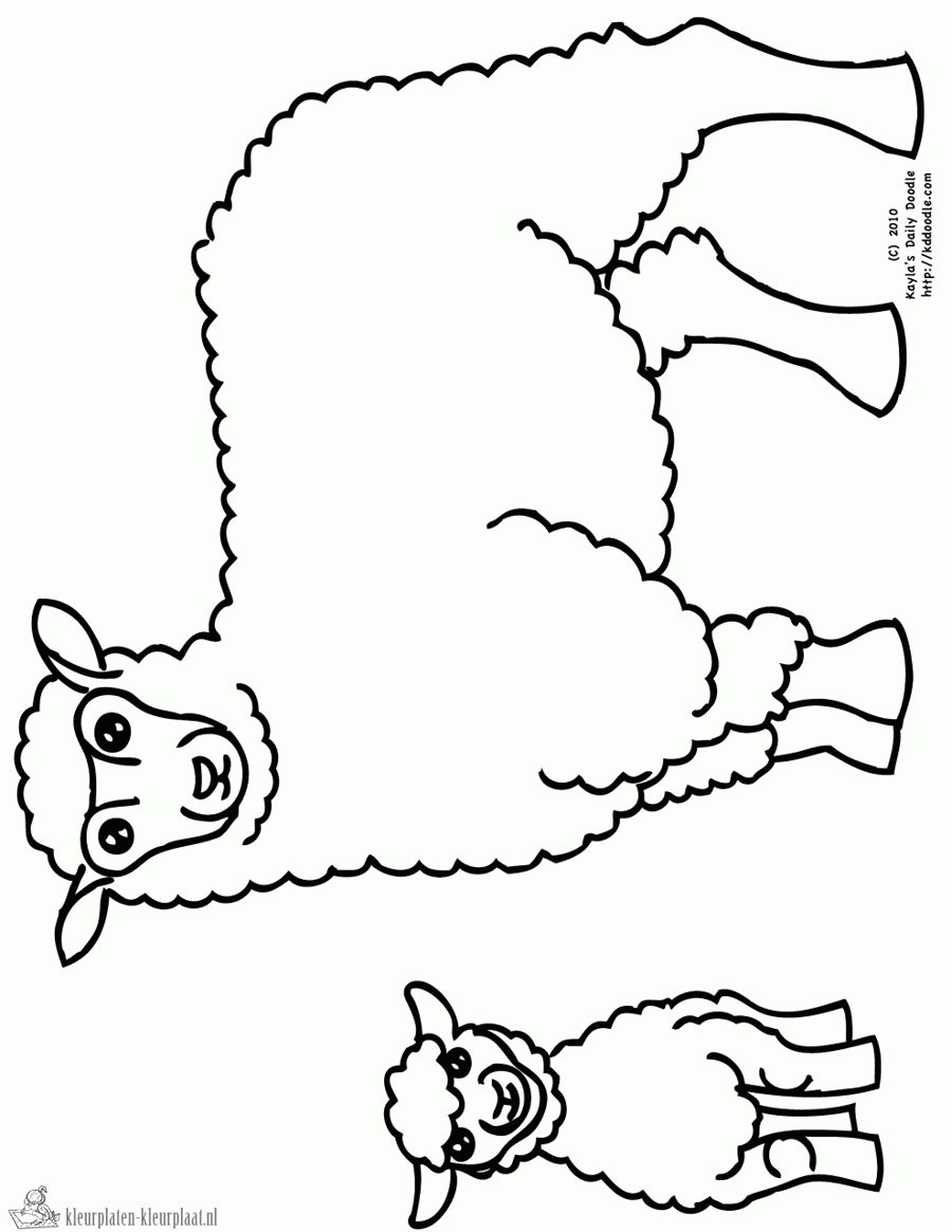 Schaap 20 kleurplaat