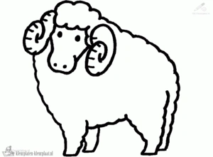 Schaap 27 kleurplaat