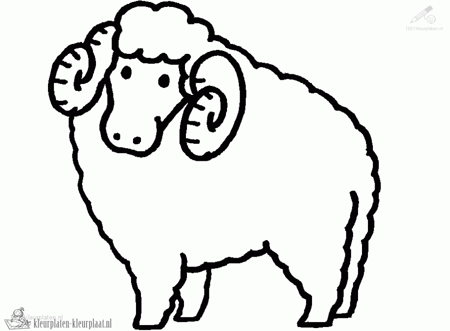 Schaap 27 kleurplaat