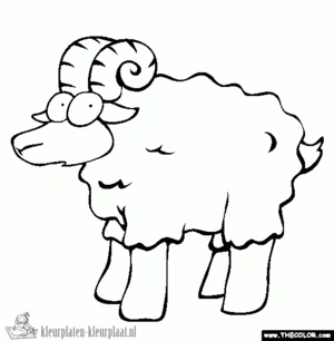 Schaap 33 kleurplaat