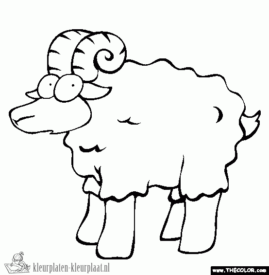 Schaap 33 kleurplaat