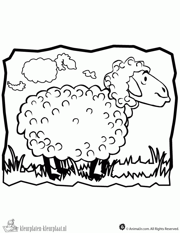 Schaap 37 kleurplaat