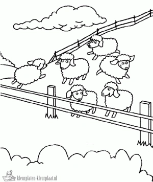 Schaap 38 kleurplaat