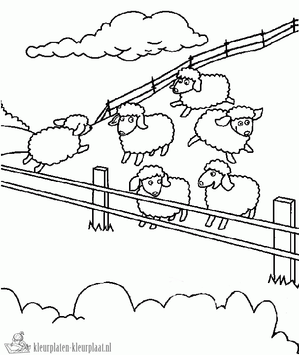 Schaap 38 kleurplaat