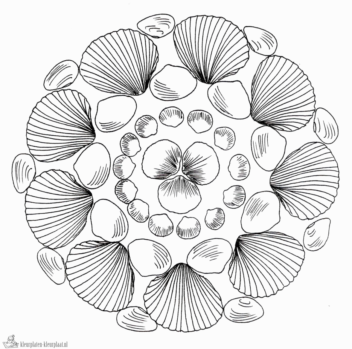 Schelpen 2 kleurplaat
