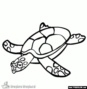 Schildpad 12 kleurplaat