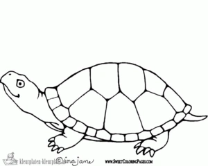 Schildpad 15 kleurplaat