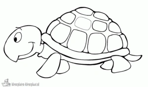 Schildpad 2 kleurplaat
