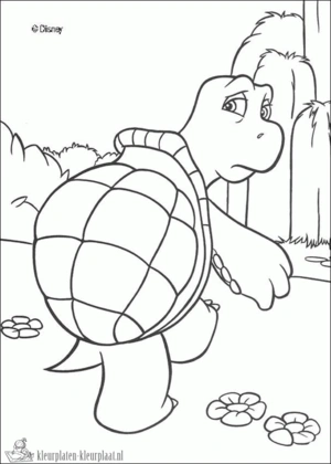 Schildpad 28 kleurplaat