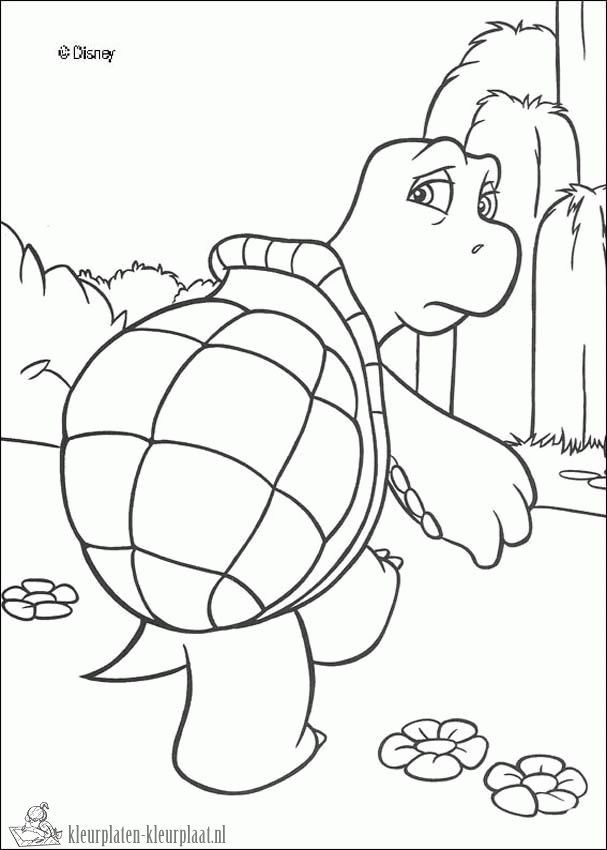 Schildpad 28 kleurplaat