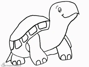 Schildpad 30 kleurplaat