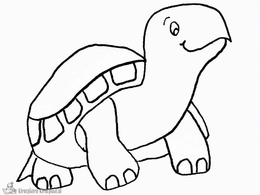 Schildpad 30 kleurplaat