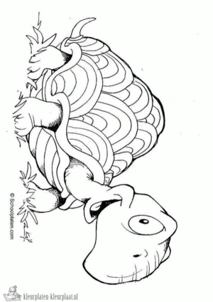 Schildpad 36 kleurplaat