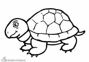 Schildpad 37 kleurplaat