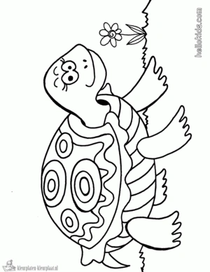 Schildpad 40 kleurplaat