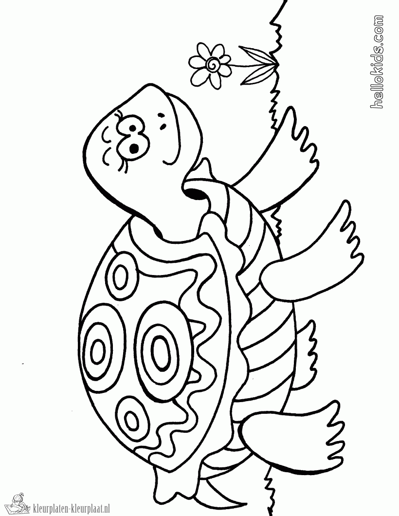 Schildpad 40 kleurplaat