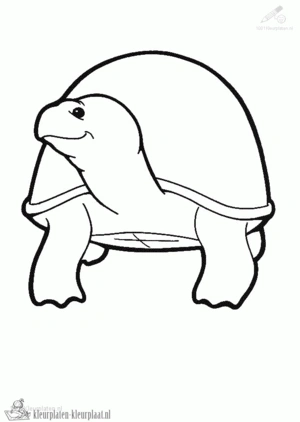 Schildpad 43 kleurplaat
