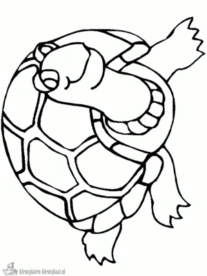 Schildpad 7 kleurplaat