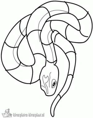 Slang 15 kleurplaat