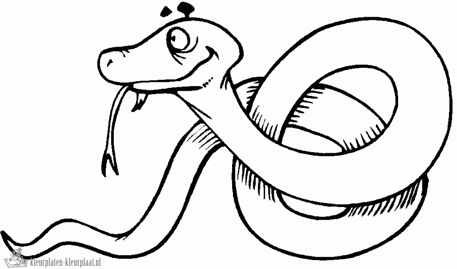 Slang 33 kleurplaat