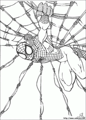 Spiderman 25 kleurplaat