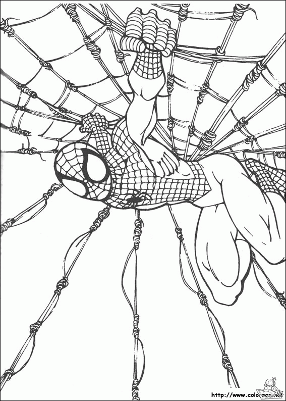Spiderman 25 kleurplaat