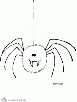 Spin 19 kleurplaat