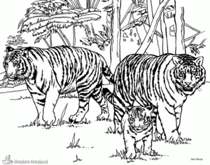 Tijger 1 kleurplaat