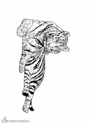 Tijger 4 kleurplaat