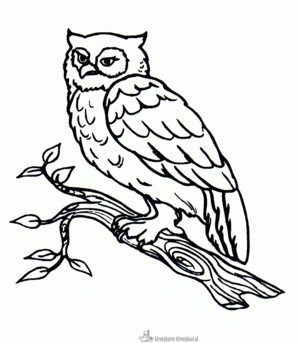 Uil 15 kleurplaat