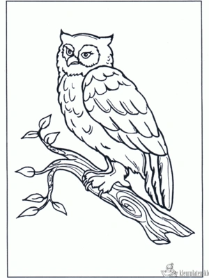 Uil 4 kleurplaat