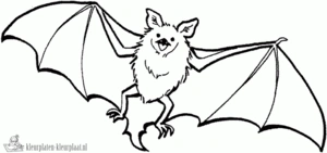 Vleermuis 14 kleurplaat