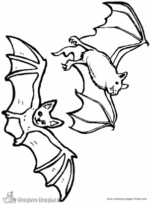 Vleermuis 3 kleurplaat