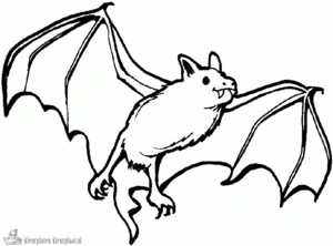 Vleermuis 8 kleurplaat