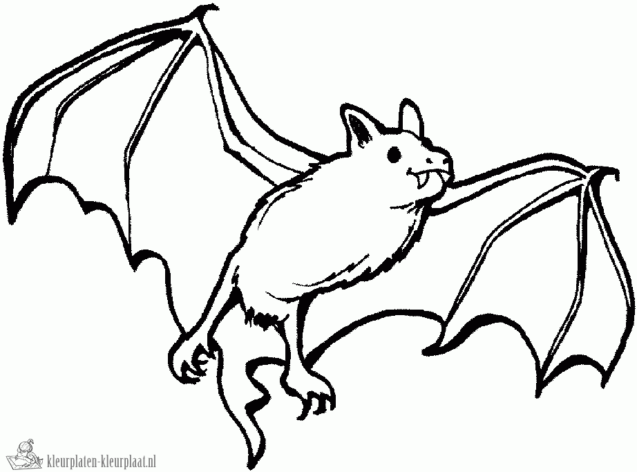 Vleermuis 8 kleurplaat