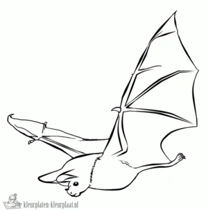 Vleermuis 9 kleurplaat