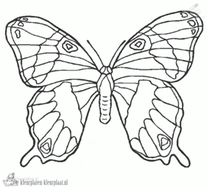 Vlinder 12 kleurplaat
