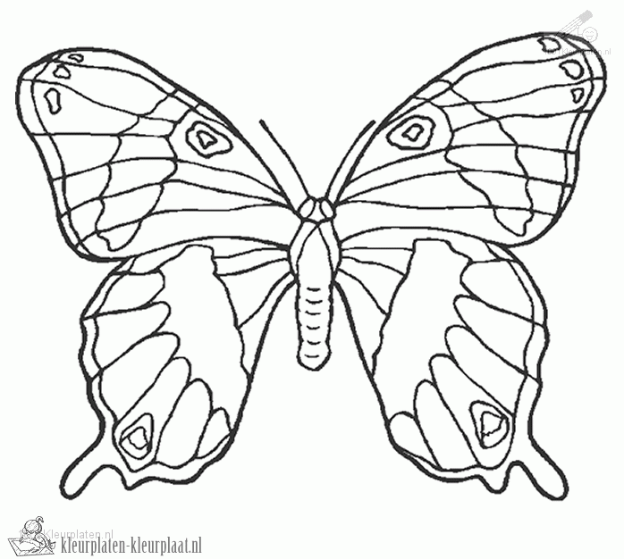 Vlinder 12 kleurplaat