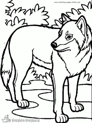 Wolf 5 kleurplaat