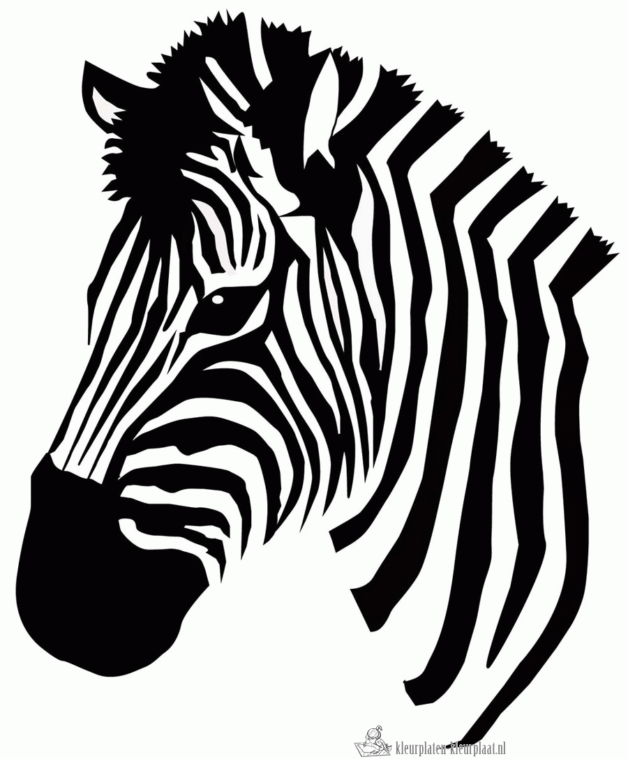 Zebra 1 kleurplaat