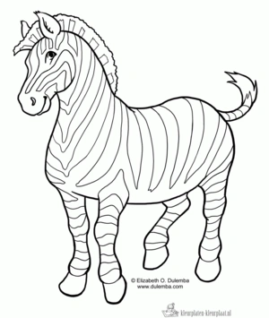 Zebra 11 kleurplaat