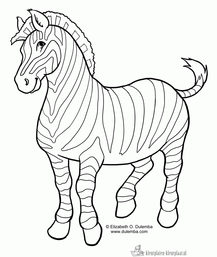 Zebra 11 kleurplaat