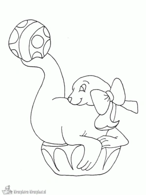 Zeehond 10 kleurplaat