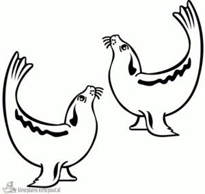 Zeehond 12 kleurplaat